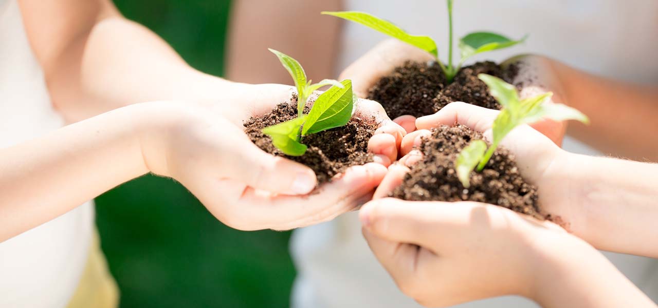 Økologiske gårder i Toscana