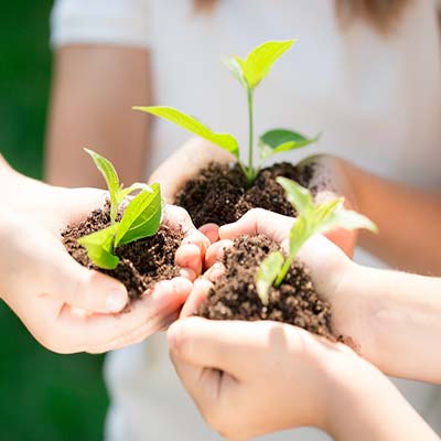 Ferier i økologisk gård i Toscana