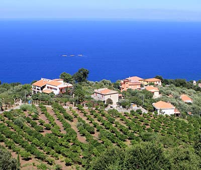 Bo i feriehus, B & B, villa og våningshus nær sjøen